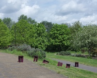 Alessandro - brown stools in the park