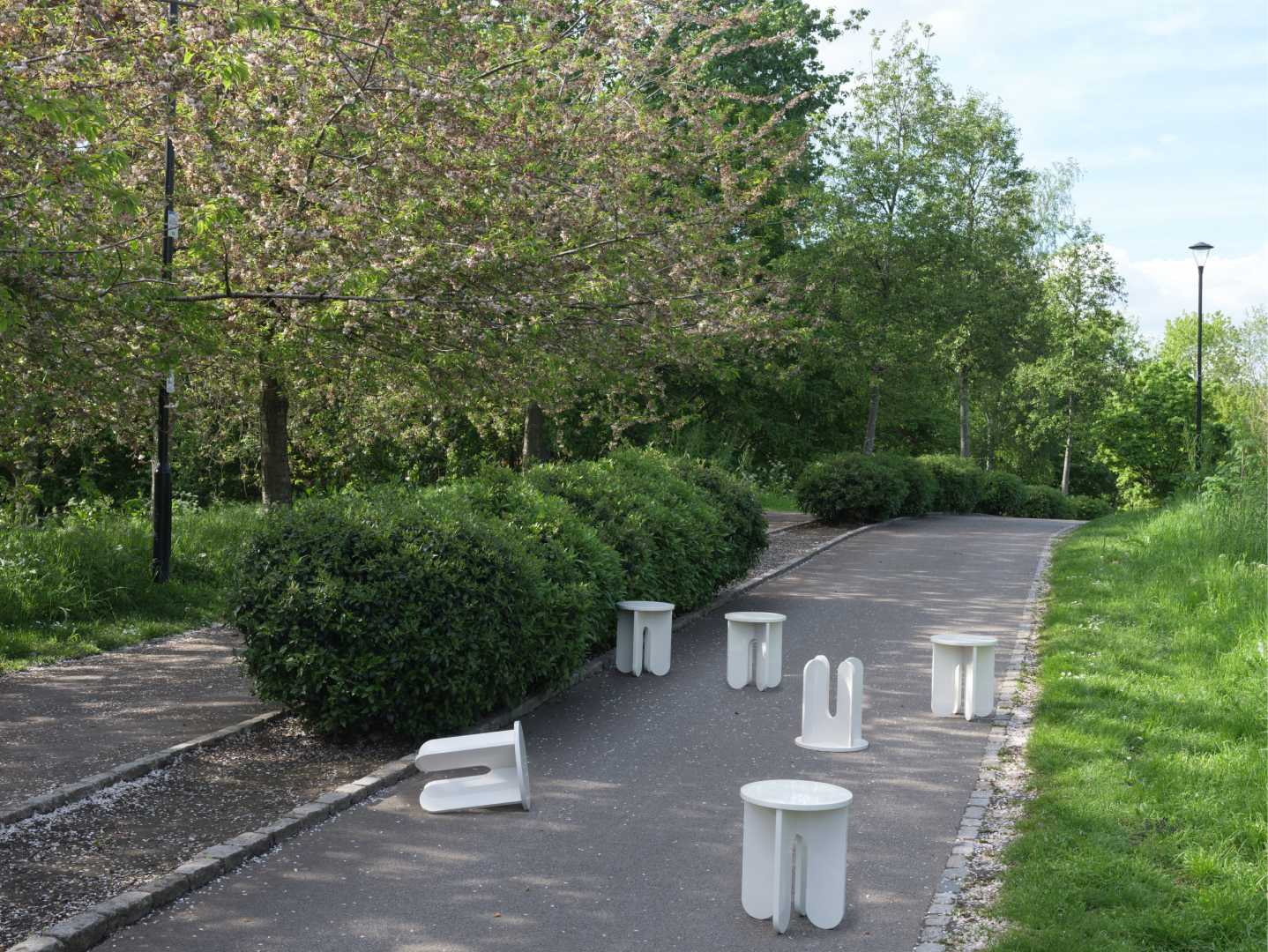 home - allessandro - image 5